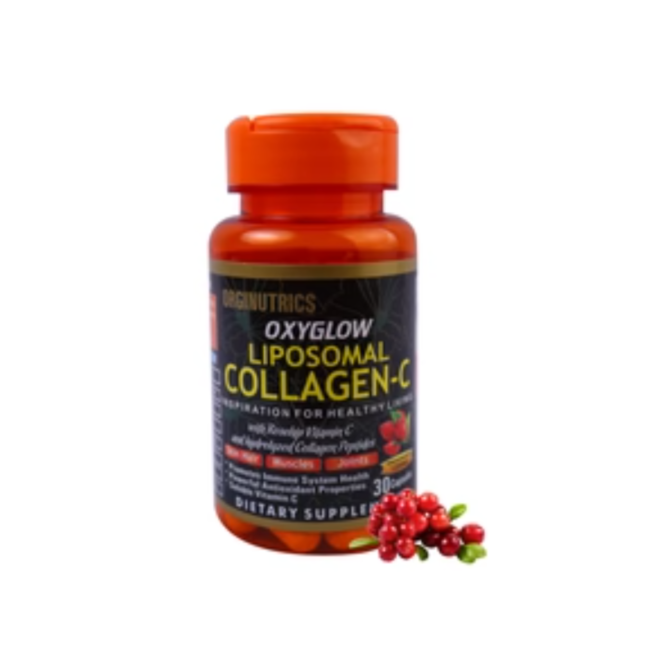 Liposomal collagen C